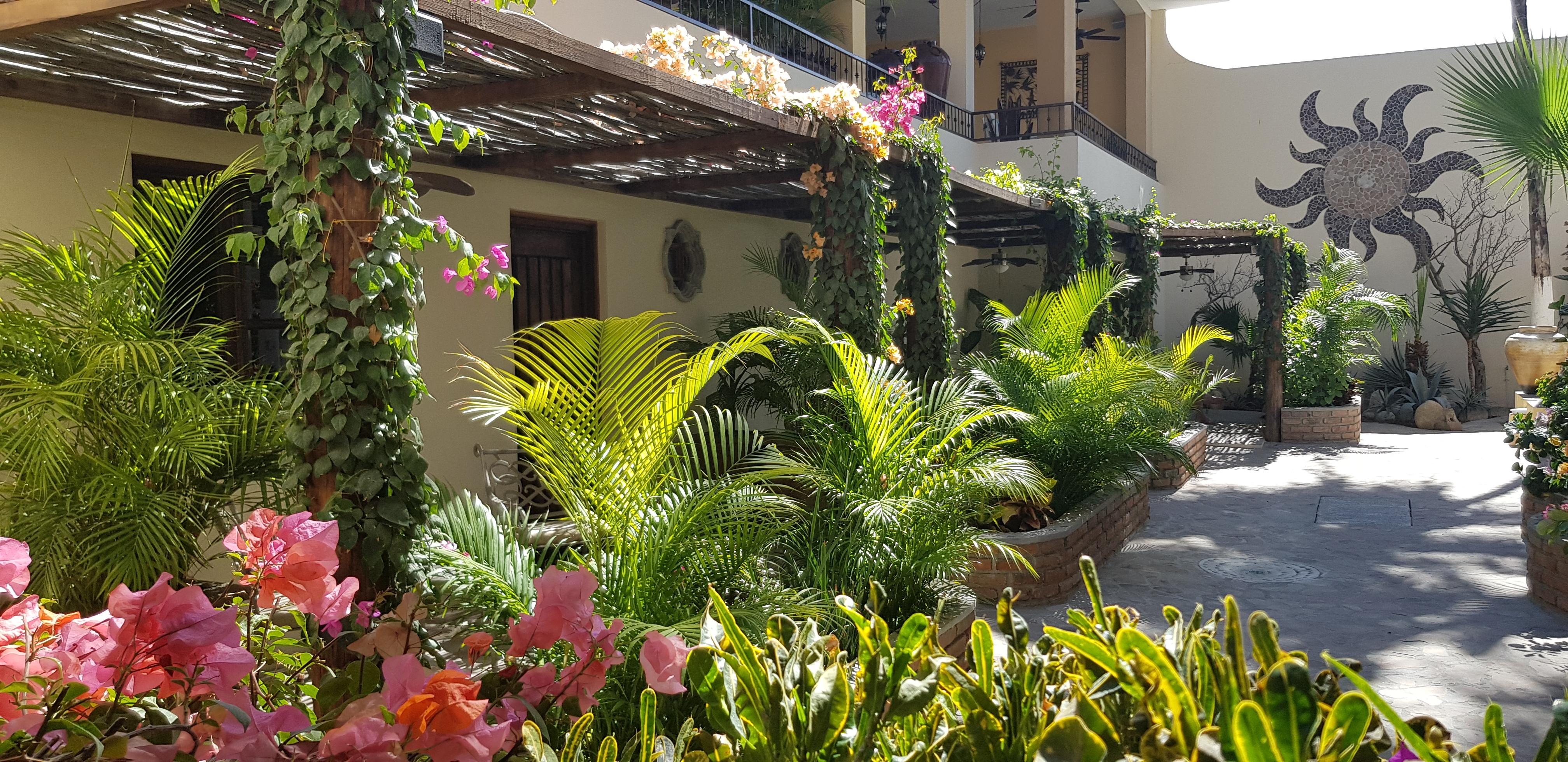 Posada De Las Flores La Paz Kültér fotó