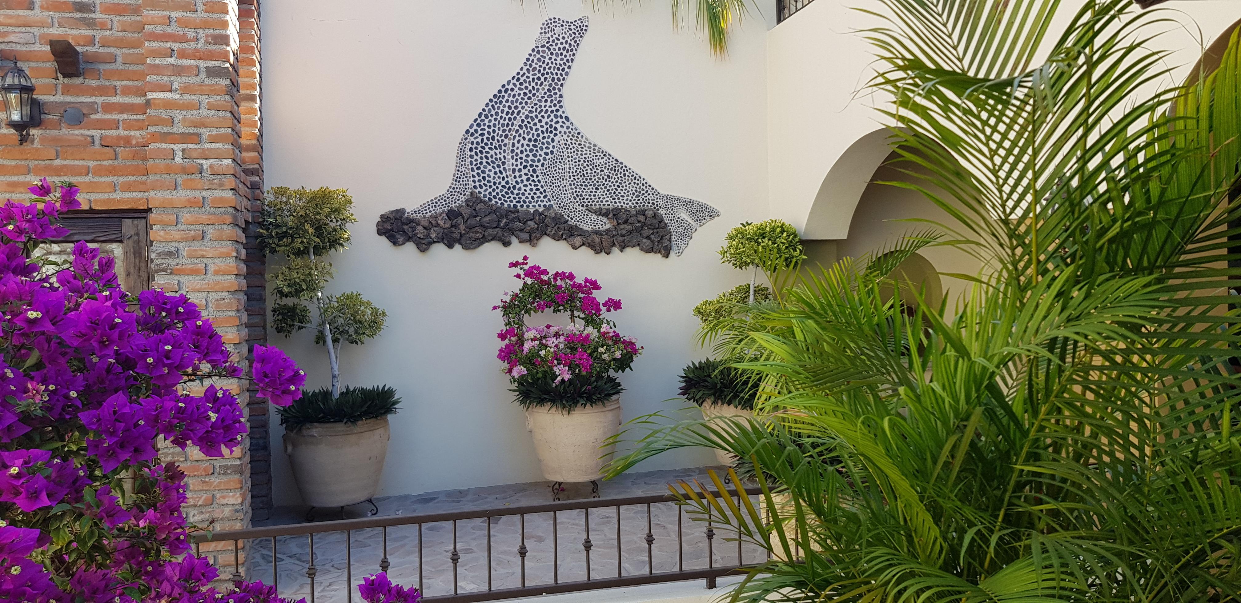 Posada De Las Flores La Paz Kültér fotó